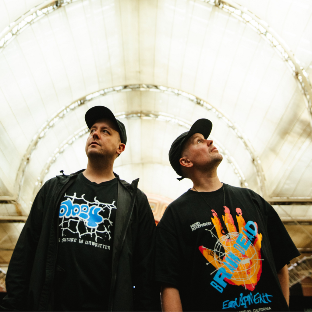 Hybrid Minds