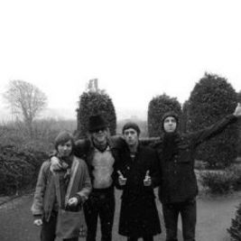 The Rifles