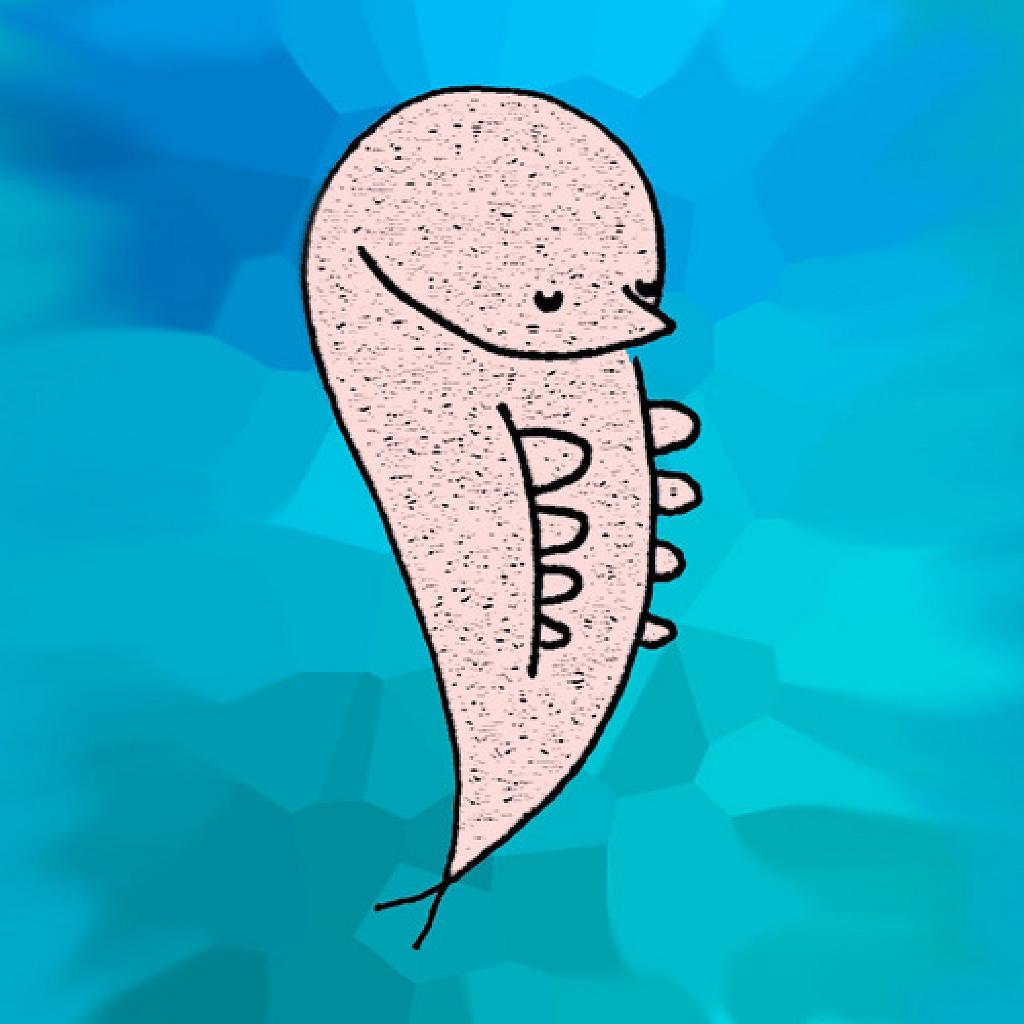 Prawn DJ